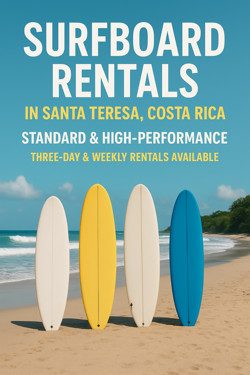 Surfboard Rental- Standard & High Performance Surfboards Santa Teresa Beach