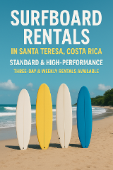 Surfboard Rental- Standard & High Performance Surfboards Santa Teresa Beach
