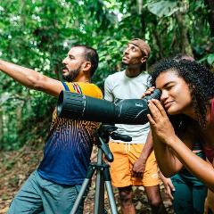 Puerto Viejo Bird Watching Tour – Caribbean Rainforest Experience