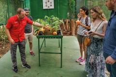 Britt Cacao Tour – Chocolate Experience from Seed to Bar