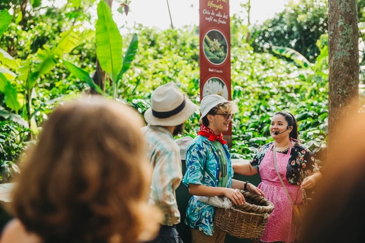 Britt Classic Coffee Tour – Costa Rican Coffee Experience
