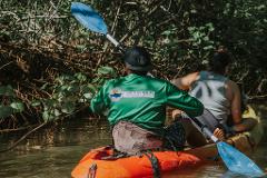 Mangrove Kayak Tour near Samara & Puerto Carrillo