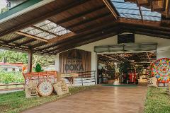 Poás Coffee Plantation Tour – Seed to Cup Experience