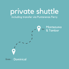 To Montezuma & Tambor From Dominical (Private) (By Ferry)