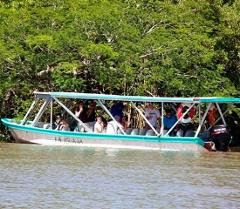 Jungle Boat Safari - Tamarindo Estuary Tour, Costa Rica
