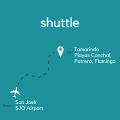To Tamarindo & Playas Conchal, Potrero, Flamingo From San Jose Area & Juan Santamaria International Airport (SJO)