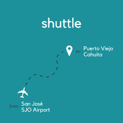 To Puerto Viejo & Cahuita From San Jose Area & Juan Santamaria International Airport (SJO)