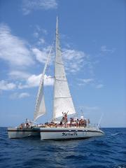 Catamaran Sailing & Snorkeling Tour - Tamarindo / Playa del Coco