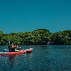 Estuary Kayak Tour - Tamarindo, Costa Rica