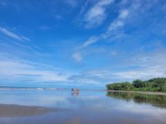 Marino Ballena National Park Guided Tour, Uvita 