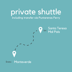 To Santa Teresa & Mal País From Monteverde (Santa Elena) (Private) (By Ferry)