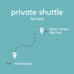 To Santa Teresa & Mal País From Monteverde (Santa Elena) (Private) (By Land)