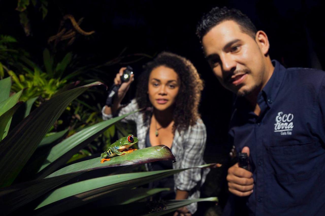 Puerto Viejo Night Walk – Rainforest Wildlife Experience