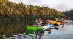 Ocean kayaking and snorkeling at Isla Rosada