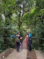 Guided Day Tour at Monteverde Cloud Forest Reserve