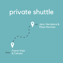 To Jacó, Herradura & Playa Hermosa From Puerto Viejo & Cahuita (Private)