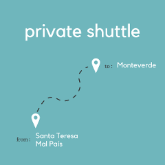 To Monteverde From Santa Teresa & Mal Pais (Private)