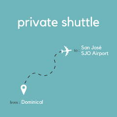 To San José Area & Juan Santamaría International Airport (SJO) From Dominical (Private)