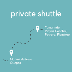 To Tamarindo & Playas Conchal, Potrero, Flamingo From Manuel Antonio or Quepos (Private)