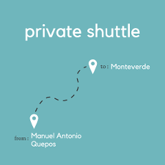 To Monteverde From Manuel Antonio or Quepos (Private)