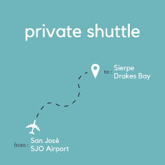 To Sierpe or Drake Bay From San José Area & Juan Santamaría International Airport (SJO) (Private)