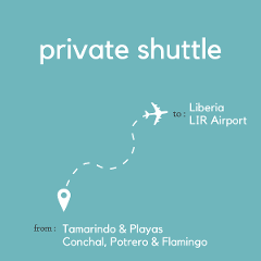 To Liberia Area & Daniel Oduber Quirós International Airport (LIR) From Tamarindo & Playas Conchal, Potrero & Flamingo (Private)