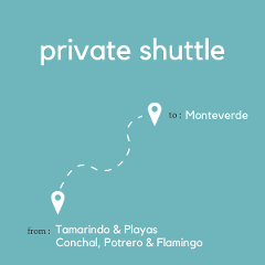 To Monteverde From Tamarindo & Playas Conchal, Potrero & Flamingo (Private)