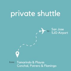 To San Jose Area & Juan Santamaria International Airport (SJO) From Tamarindo & Playas Conchal, Potrero & Flamingo (Private)