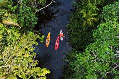 River and Punta Uva Sea Kayaking with Jungle Walk