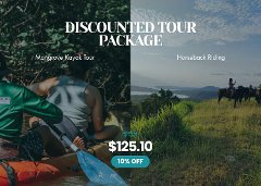 DISCOUNTED TOUR PACKAGE - Sámara Nature & Adventure Combo – Mangrove Kayak Tour & Horseback Riding