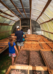 Spice Plantation Tour