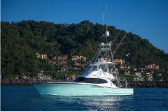 Offshore and Inshore Fishing on 50ft Satis Fly - Marina Los Suenos Jaco Herradura