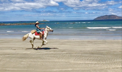 Horseback Riding Tour Tamarindo