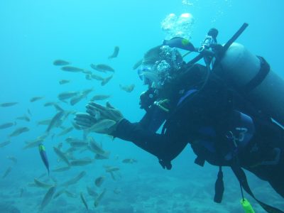 Scuba Diving Catalinas Islands Tamarindo (Beginners and Certified Divers)