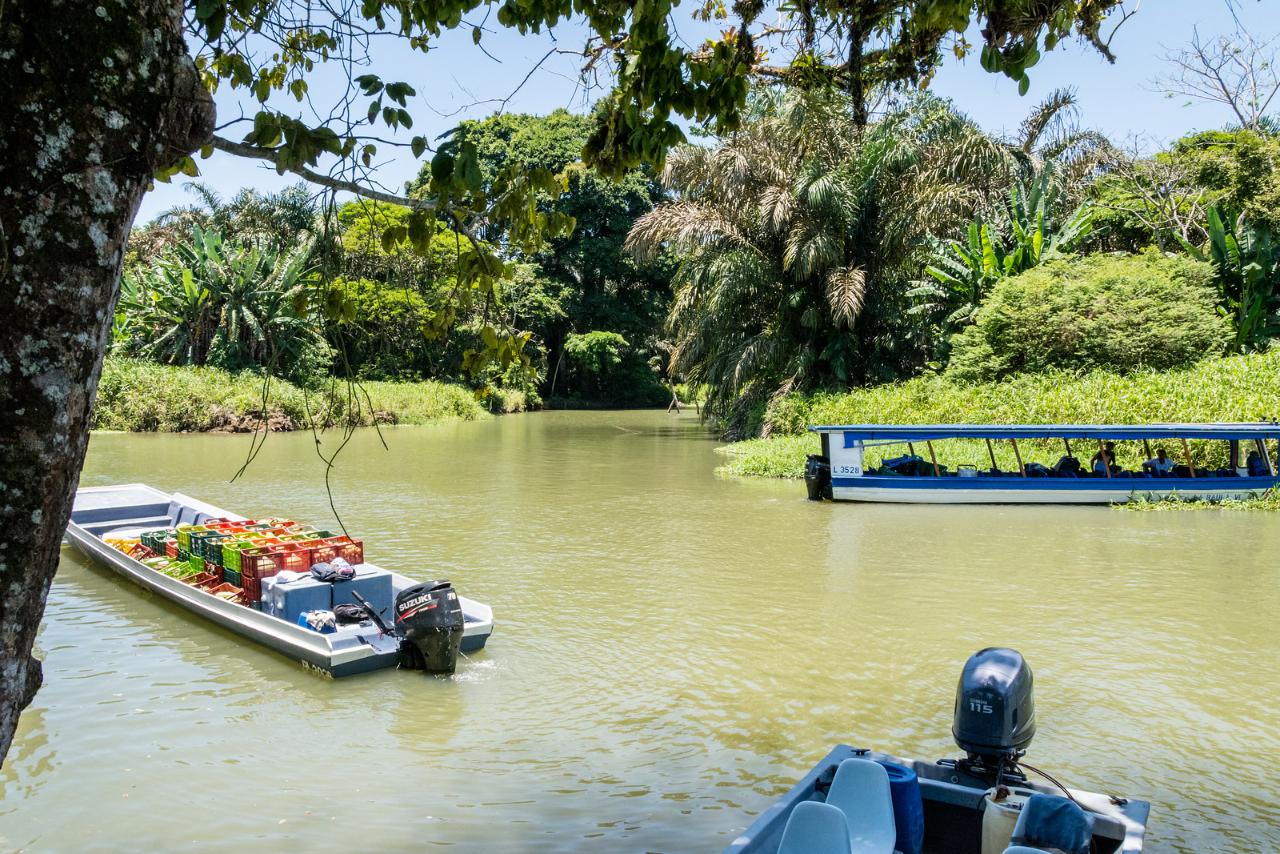 Tortuguero Tour : 2 Days /1 Night