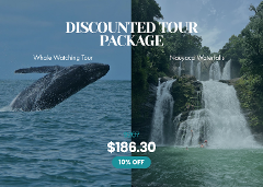 DISCOUNTED TOUR PACKAGE - Uvita Nature & Wildlife Combo – Nauyaca Waterfalls & Whale Watching Tour