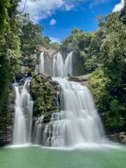Nature & Wildlife Tour Combo – Manuel Antonio National Park & Nauyaca Waterfalls