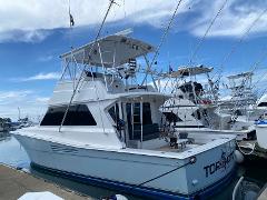 Offshore and Inshore fishing on 45 ft.Top Notch Viking - Marina Pez Vela Quepos 