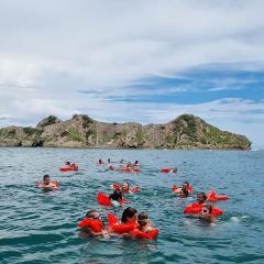 Caño Island Snorkeling and Whale Watching Tour Uvita