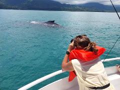 Corcovado National Park Tour Uvita