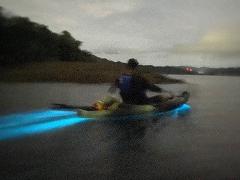 Bioluminescent Kayak Tour Paquera