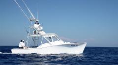 Offshore and Inshore Fishing on 31ft. Gamefisher II - Marina Flamingo - Playa Flamingo
