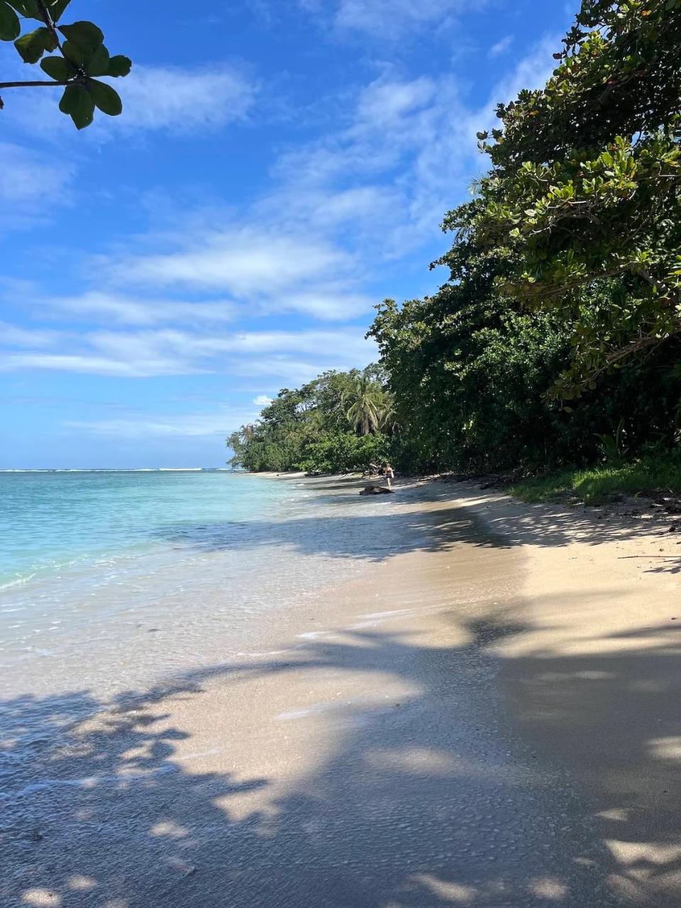 Cahuita Snorkeling and Rainforest Hike