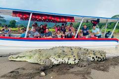 The Croc Skywalk – Tárcoles River Crocodile Safari