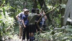 Tortuguero Day Walk Tour Costa Rica – Guided Jungle Wildlife Hike