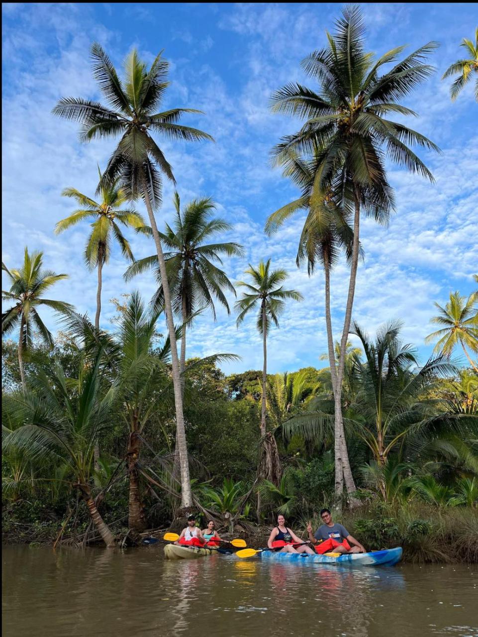 Mangrove Kayak Tour Uvita 