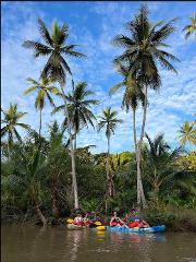 Mangrove Kayak Tour Uvita 