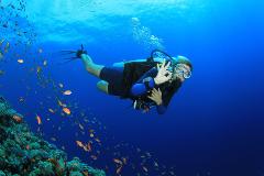 Scuba Diving Manuel Antonio 