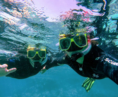 Inshore Snorkeling Santa Teresa