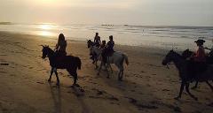 Sunset Horseback Riding